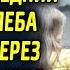 Девочка дала кусочек хлеба бездомному мужчине а через месяц он ее отблагодарил