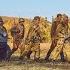 Сыновья уходят в бой Владимир Высоцкий