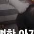얘야 어딜 가려고 앞발을 턱 아기 보호하는 고양이 화제 JTBC 사건반장