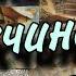 МУЖЧИНА на пороге Кто придет в Вашу ЖИЗНЬ