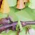How To Model A Lowpoly Scene In Blender 2 8