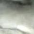 Mi Maskota D Ramster