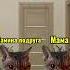 Жду подписки день10 Youtube мем реки смешно Cat эдит кот котики