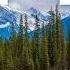 The Park Banff Doesn T Want You To Know About