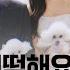 단독 장모님 어떡해요 오열하던 남편이 아내 살해 범인이었다 JTBC 뉴스룸