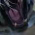 Far Cry 4 Tiger Attack