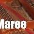 Le Maree By Chris Snelling