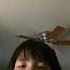 Nippon Egao Hyakkei By Momoiro Z Clover