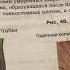 Биология 6 класс Тема Стебель Внешнее и внутреннее строение 11 01 21