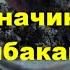 Уловистая приманка Рыба дуреет от такой приманки