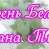 Сирень Белая Светлана Тыщенко