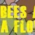 BUMBLEBEES ARE OUT PICK A FLOWER Mashup