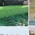 挑戰新聞軍事精華版 金大將軍指導試射自製火箭彈 稱讓敵軍坦克像 煮熟南瓜