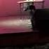 She Loves Me Vanilla Ice Cream Performed By Isabelle Sparks