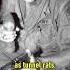 Vietnam Was A Horror Film Vietnam