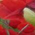 Love Story Richard Clayderman