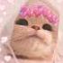 Gacha Gachatrend Gacha Gachaedit Gachaclub Gachaedit Gachaart Gachalife Gachatrend Gacha