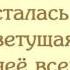 Омар Хайям и Мы Книга мудрости Видео для чтения