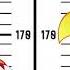 Phoenix Mascot Run Wild Cartoon