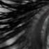 X Liont Die Liebe Meines Lebens