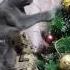 Котик готовиться к Новому Году