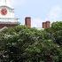 Harvard Sues Trump Admin To Halt International Student Ban