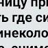 Старый Гинеколог в Женской Колонии Сборник Свежих Анекдотов Юмор