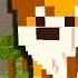 КОТЫ ВОИТЕЛИ КТО ОНИ ТАКИЕ Прятки Minecraft