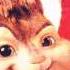 Alvin And The Chipmunks 2 The Song Feat Queensberry