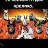 животные космонавты Shorts