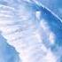 In The Midst Of Angels Dan Gibson John Herberman