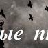 Наутилус Помпилиус Черные птицы