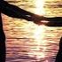 Wicked Game Я не хочу влюбляться