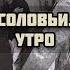 Топ 3 песни группы Контора часть 2 корольишут горшок шуты князь панкрок музыка панк