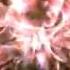 Enigma Seven Lives Many Faces DVD Promo Trailer