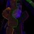 Outside Your Window FNAF SHORT Minecraft Animation APAngryPiggy