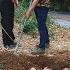The Wicked People Plotted To Harm The Young Soldier And His Niece Tieu Thuong TV