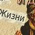 Женщина Бомж и Два Пакета Городская история из жизни Автор Александр Бессонов