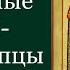 Святые благоверные князья страстотерпцы Борис и Глеб Жития святых