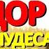 В день Преподобного Феодора молитесь о здоровье Святой сегодня рядом и творит чудеса исцеления