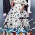 스물다섯 스물하나 25th Twenty Five Twenty One 25th