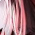 T Pazolite You Are The Miserable 99 30
