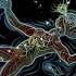 Dreaming Awakening Part One Full Compilation Psychill Psybient