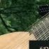 Banish Misfortune From The Celtic Lute By Ronn McFarlane