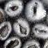 Basil Seeds Soak In Water Timelapse Shorts
