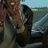 Radio Weasel Goodlyfe Magnetic Offical Music HD Video
