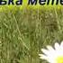 Полька метелик Музика Гулянка в Україні 1 частина друга
