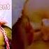 Mozart For Babies Brain Development Classical Music For Brain Power Mozart Effect