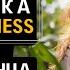 Сила солнца практика Mindfulness