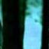 The Vampire Diaries S3 E02 Echo Jason Walker
